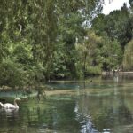 fonti del clitunno