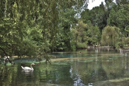 fonti del clitunno